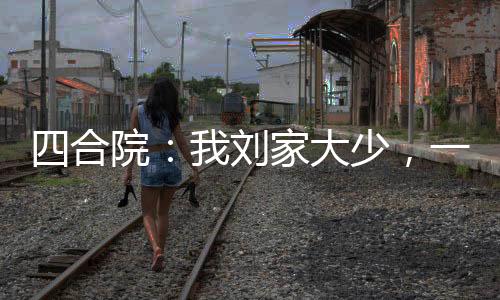 四合院：我刘家大少，一路进部！