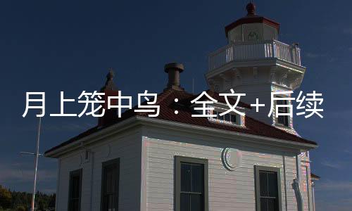 月上笼中鸟：全文+后续（沈易尧沈景衍）全文免费阅读无弹窗大结局_月上笼中鸟：全文+后续最新章节列表_笔趣阁（沈易尧沈景衍）