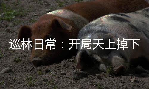 巡林日常：开局天上掉下个熊崽崽